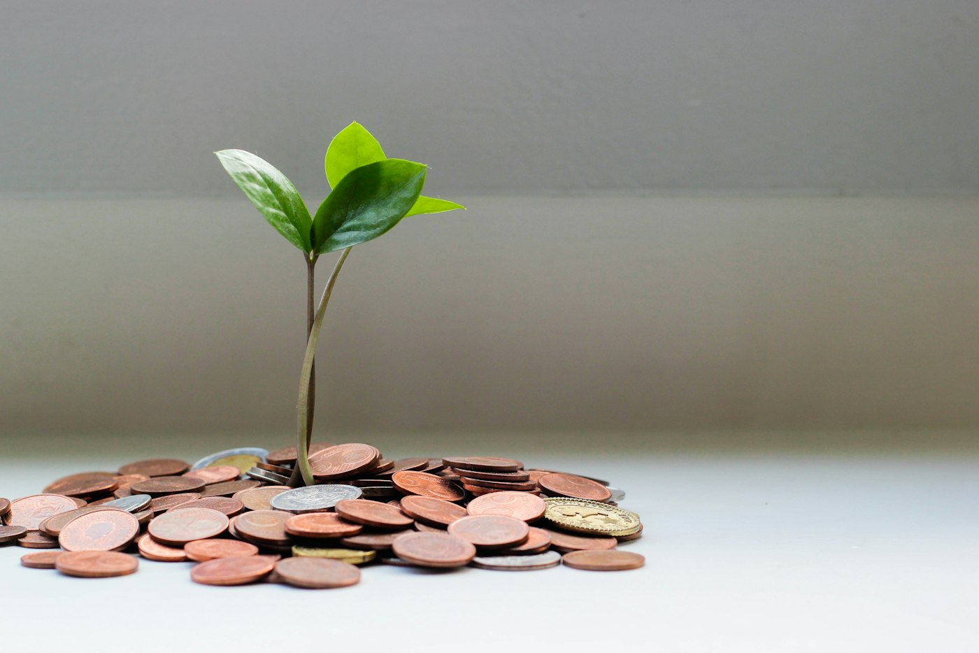 Piggy bank and coins for teaching kids about money